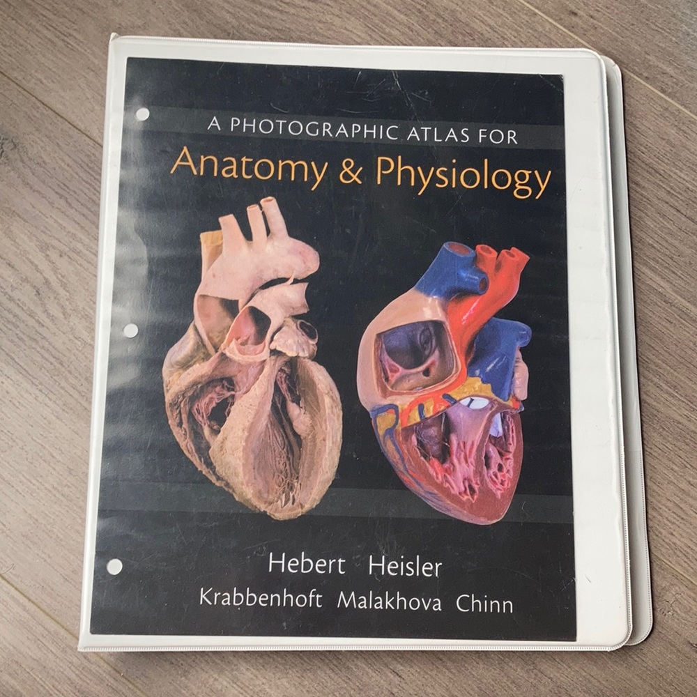 A photographic atlas for anatomy and physiology